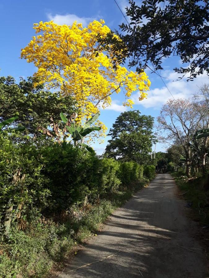 Finca Hotel El Diamante Каларка Екстер'єр фото