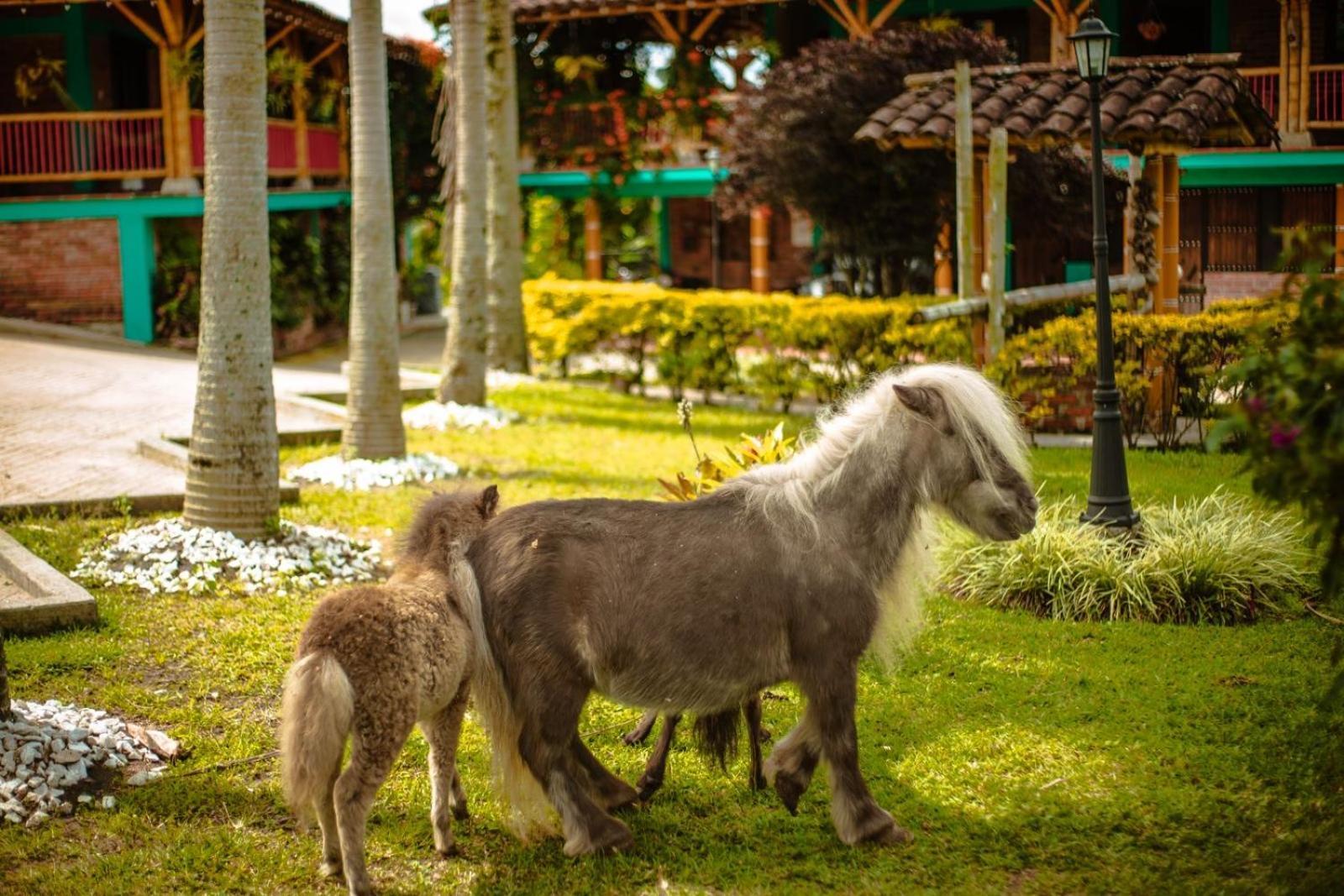 Finca Hotel El Diamante Каларка Екстер'єр фото