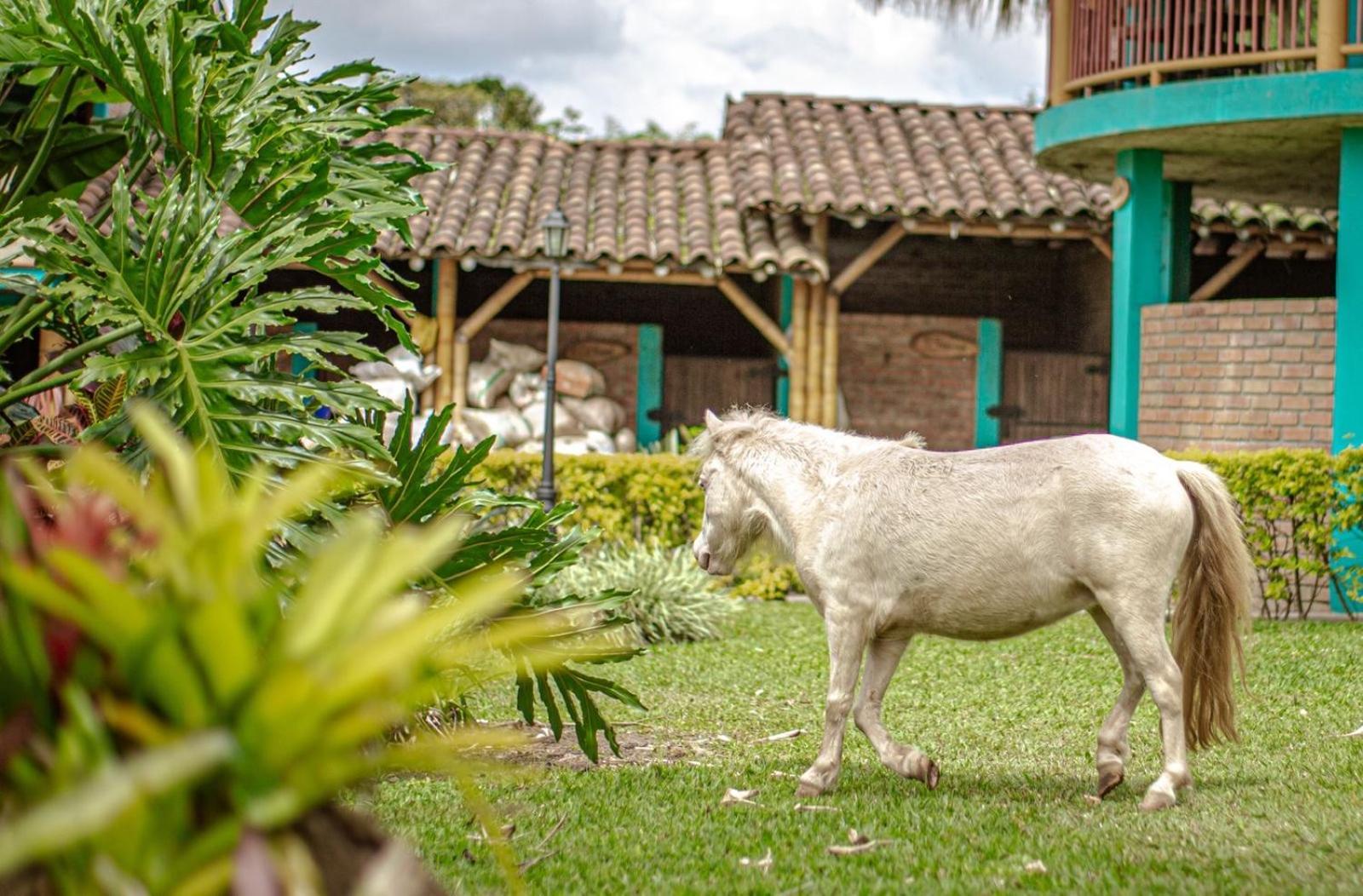 Finca Hotel El Diamante Каларка Екстер'єр фото