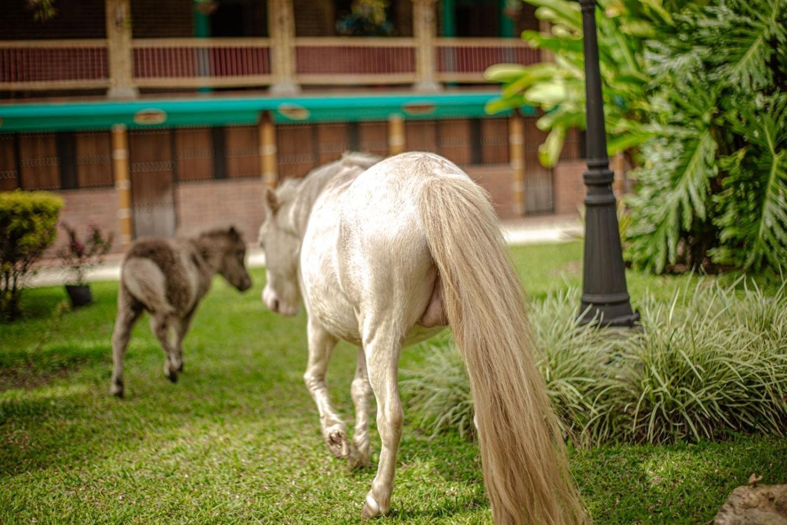 Finca Hotel El Diamante Каларка Екстер'єр фото