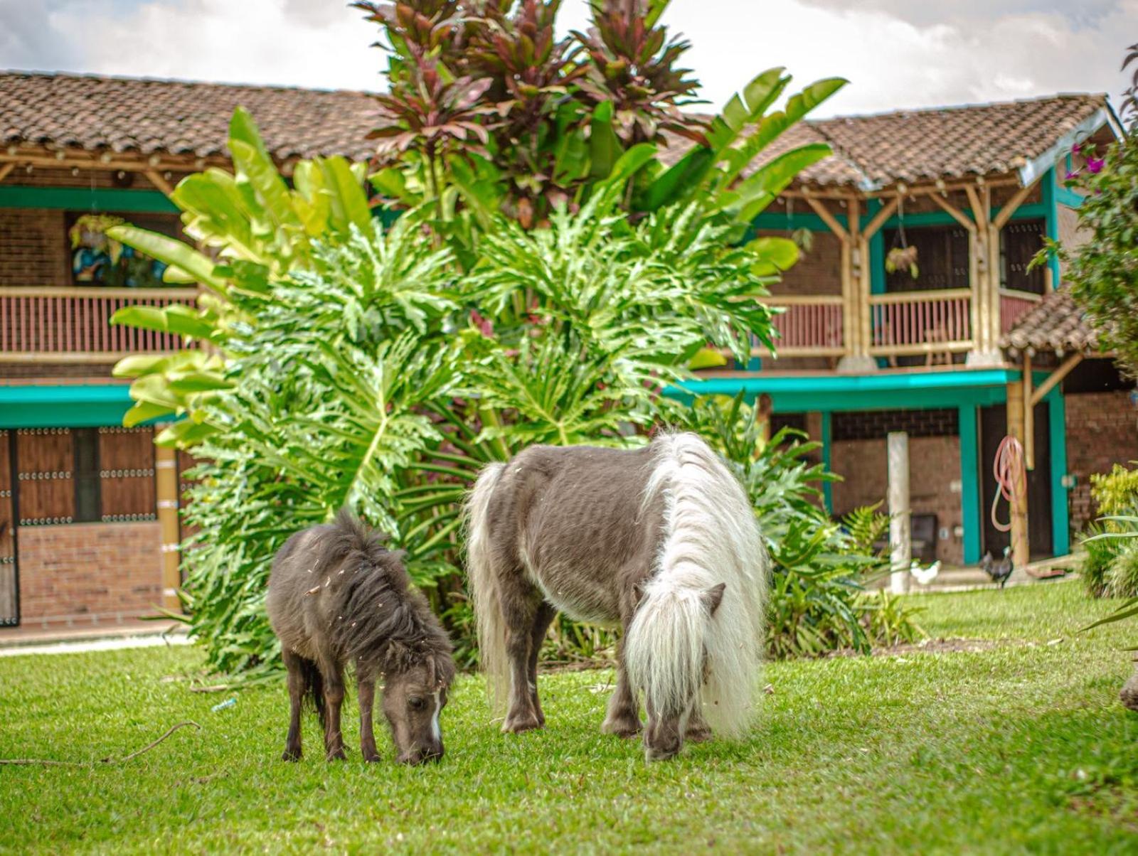 Finca Hotel El Diamante Каларка Екстер'єр фото